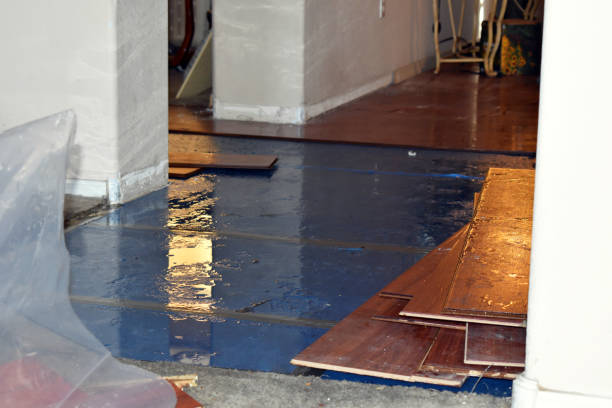 Professional Water Damage Repair technician working in Riverside, CT